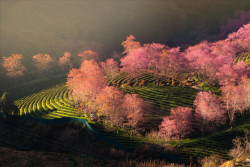 Tết này, nhà đã ấm