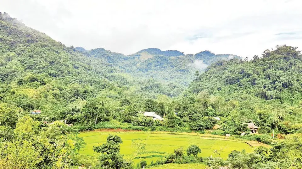Rừng nguyên sinh phía sau bản Bướt, Sơn La